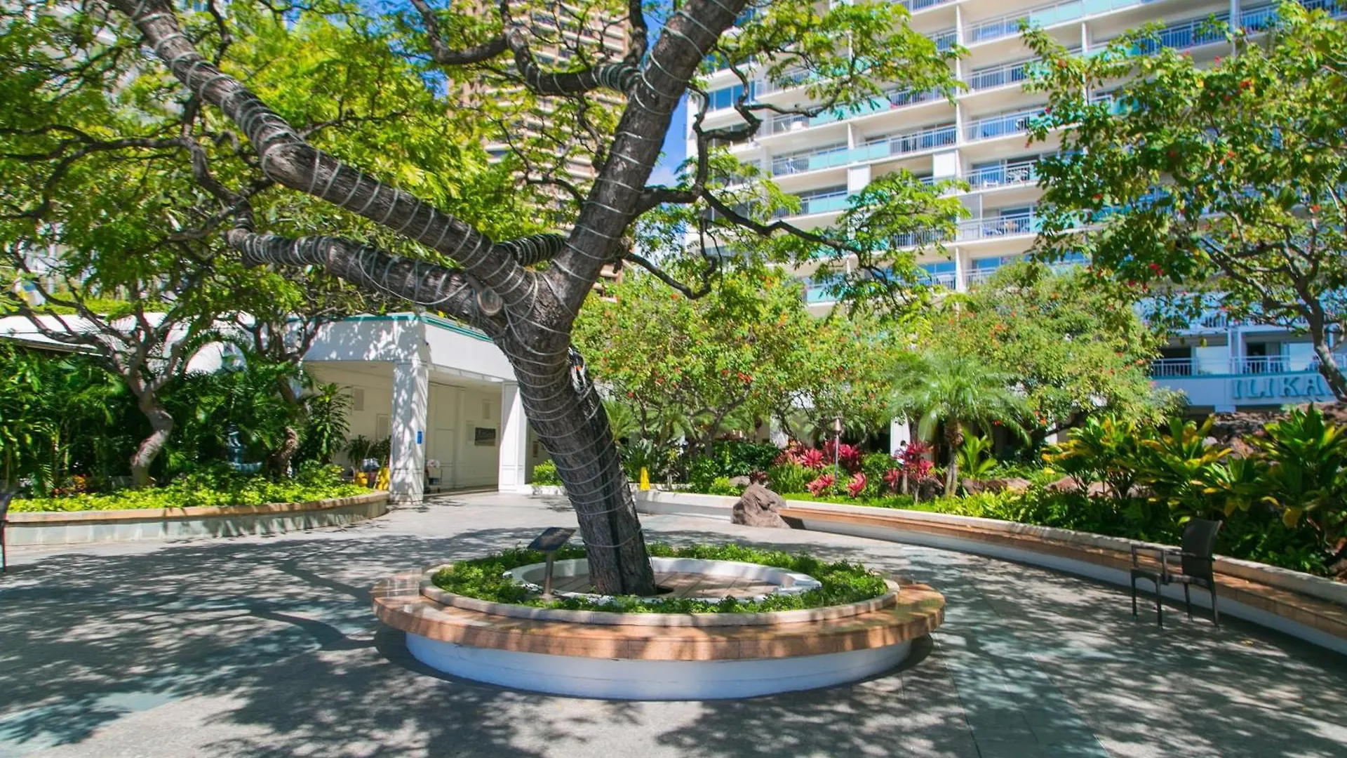 Ilikai Tower 1340 Lagoon View 1BR Honolulu